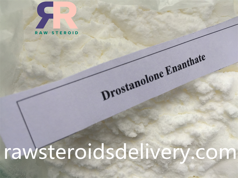 Drostanolone Enanthater USA Shop